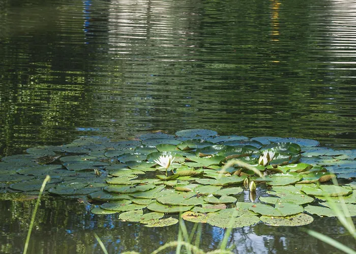 ホテル Domaine De La - Hotel, & Restaurant Moulins-les-Metz